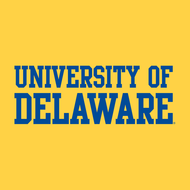 Delaware Blue Hens Basic Block T Shirt - Daisy