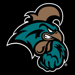 Coastal Carolina Chanticleers Primary Logo Youth T-Shirt - Black