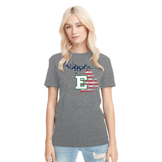 Eastern Michigan Patriotic State Silhouette NLA Triblend T-Shirt - Premium Heather