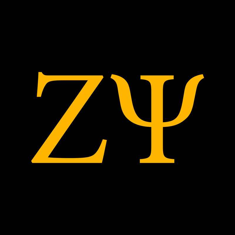 Zeta Psi Greek Letter Block NLA T-Shirt - Black