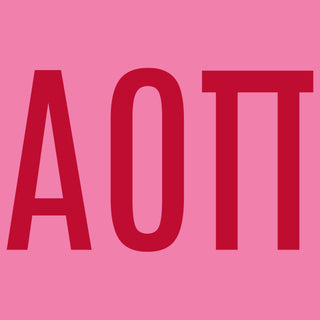 Alpha Omicron Pi Greek Letter Block Womens T-Shirt