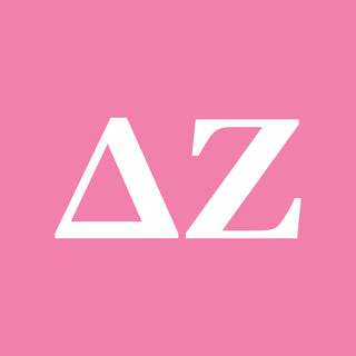 Delta Zeta Greek Letter Block Womens T-Shirt