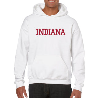 Indiana Hoosiers Basic Block Hoodie