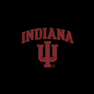 Indiana Arch Logo EMB BTB 1/4 Zip