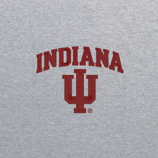 Indiana Arch Logo EMB BTB 1/4 Zip
