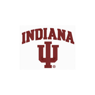 Indiana Arch Logo EMB BTB 1/4 Zip