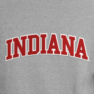 Indiana Applique Powerblend Crewneck - Light Steel