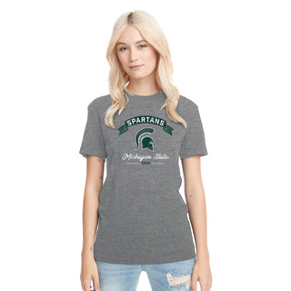 MSU Ribbon Arc NLA Triblend T-Shirt - Premium Heather