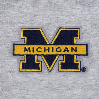 Pro Standard Michigan Women's Classic Boxy Tee - Gray