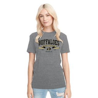 Colorado Ribbon Flight NLA Triblend T-Shirt - Premium Heather