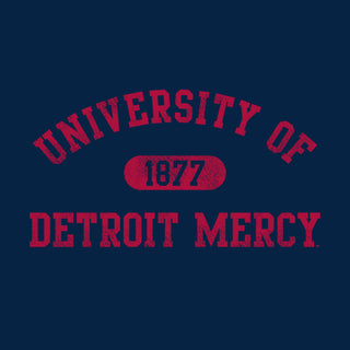 Detroit Mercy Titans Athletic Arch Hoodie - Navy