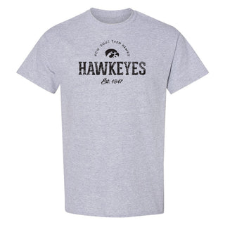 University of Iowa Hawkeyes Established Arch Short Sleeves T Shirt - Sport Grey