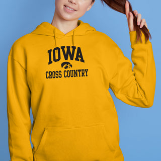 University of Iowa Hawkeyes Arch Logo Volleyball Hoodie - Gold