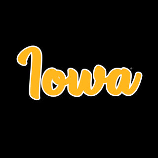 University of Iowa Hawkeyes Basic Script Cotton Heavy Blend Hoodie - Black