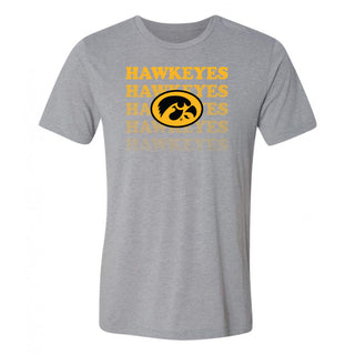 Iowa Graded Repeat Triblend T-Shirt - Premium Heather