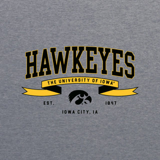 Iowa Ribbon Flight NLA Triblend T-Shirt - Premium Heather