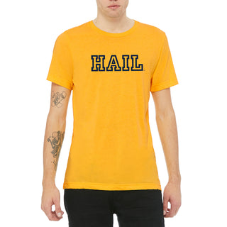 Michigan Hail Outline Canvas Triblend T-Shirt