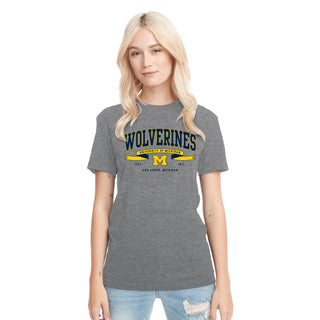 Michigan Ribbon Flight NLA Triblend T-Shirt - Premium Heather