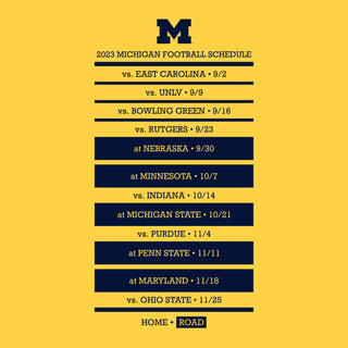 Michigan 2023 Throwback Season Tee - Winning Streak Edition - Daisy