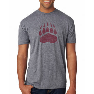 Montana Grizzlies Primary Logo Distressed Triblend T-Shirt