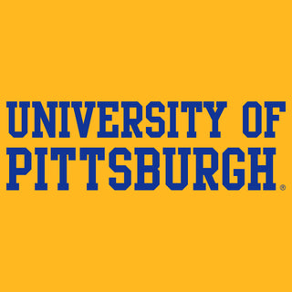 Pittsburgh Panthers Basic Block T-Shirt