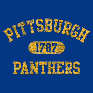 Pittsburgh Athletic Arch Sponge Fleece Hoodie - Royal