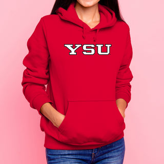 Youngstown Penguins Basic Block Hoodie - Red