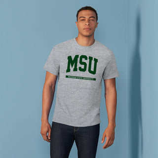 Michigan State  Spartans Initial Arch T-Shirt - Sport Grey