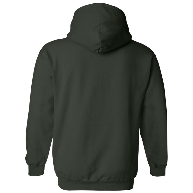 UNC Charlotte Forty-Niners Arch Logo Hoodie - Forest