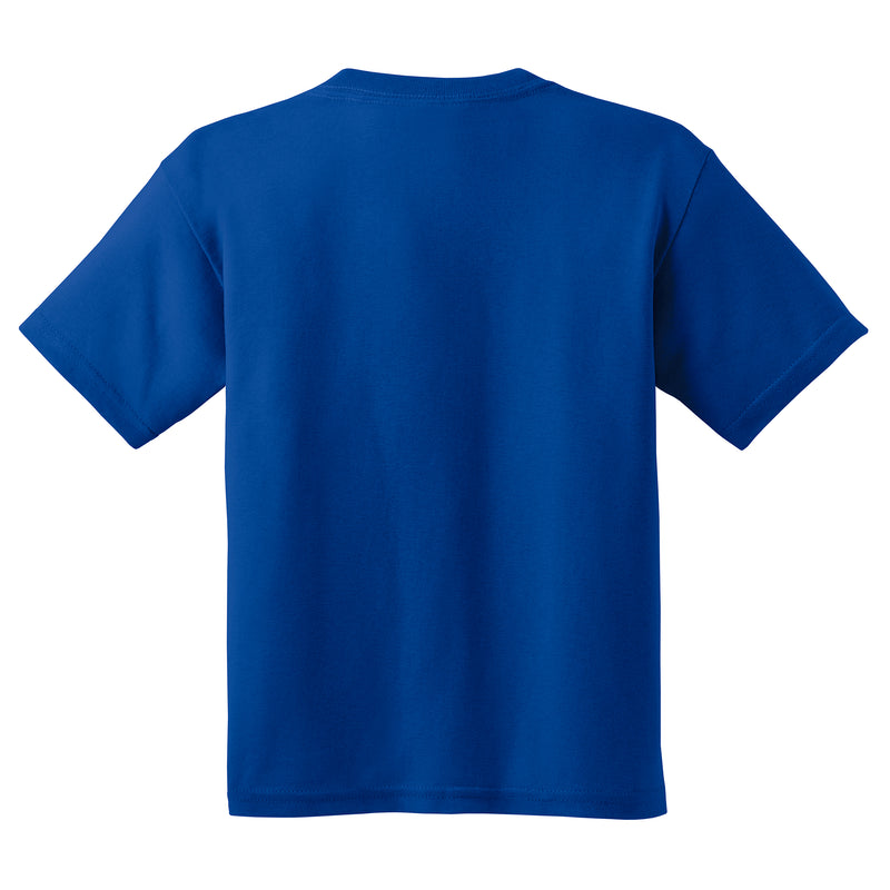 Delaware Blue Hens Basic Block Youth T Shirt - Royal