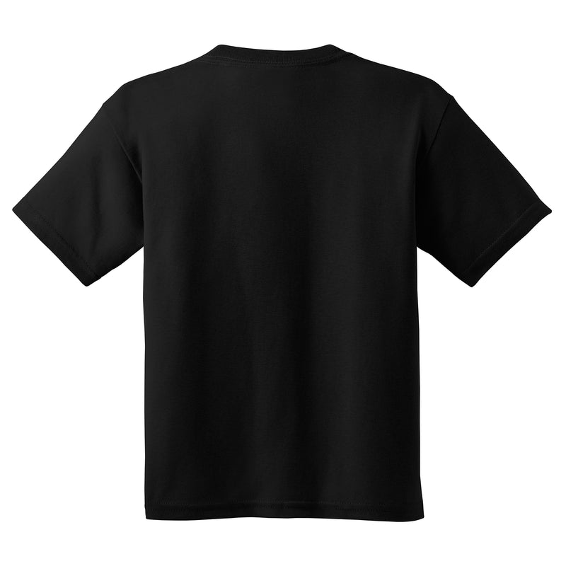 Hunter College Hawks Primary Logo Youth T Shirt - Black