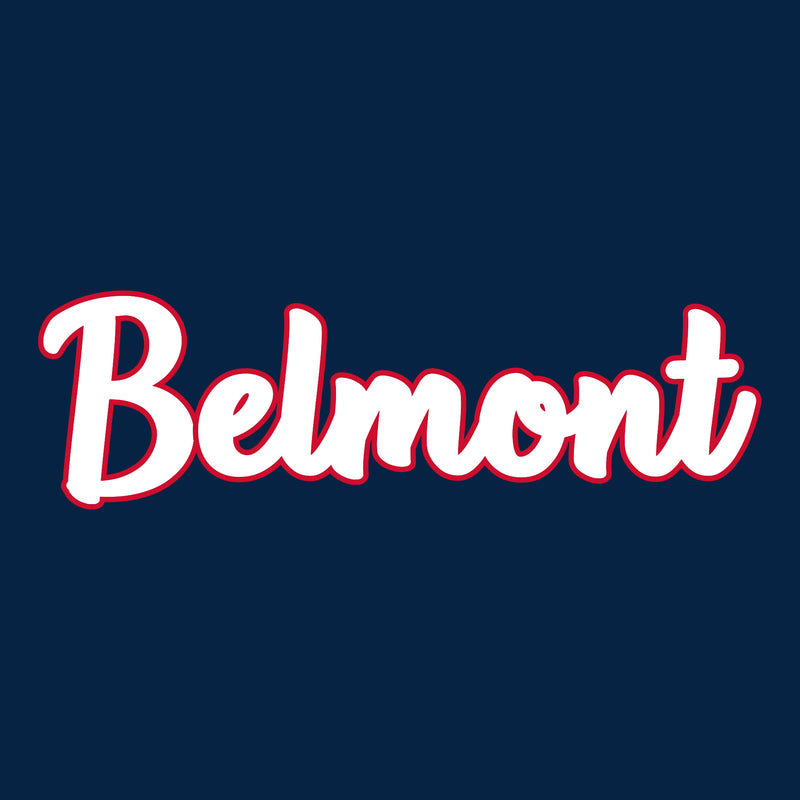 Belmont University Burins Basic Script Heavy Blend Hoodie - Navy