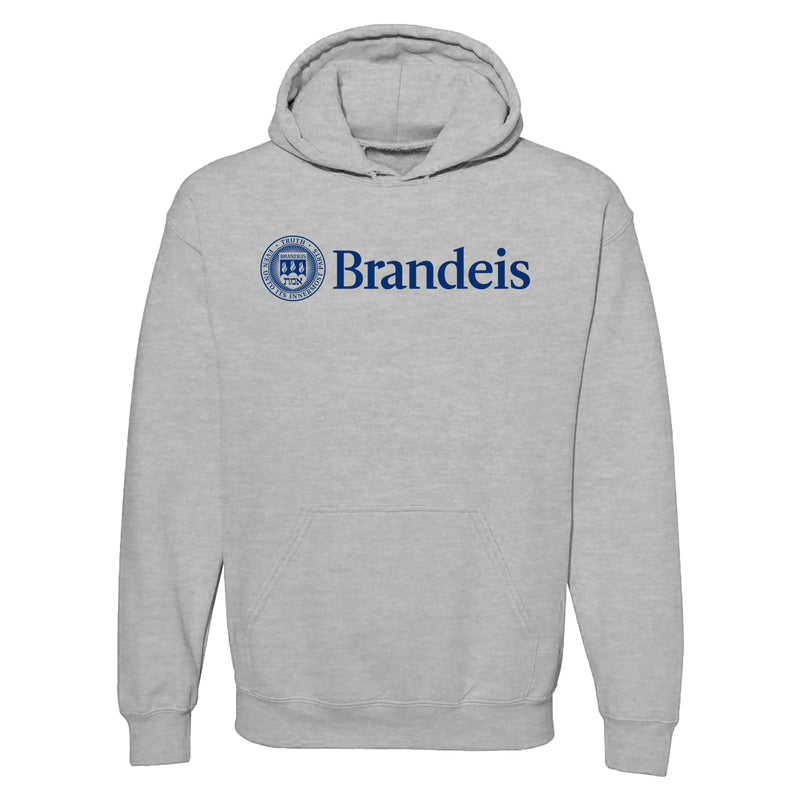 Brandeis Judges Institutional Logo Hoodie - Sport Grey