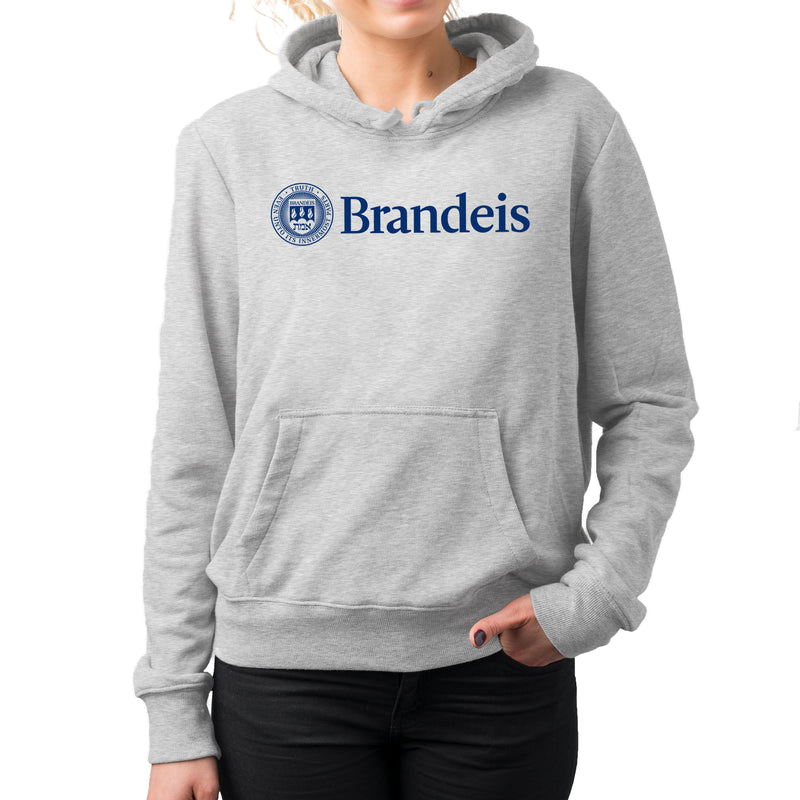 Brandeis Judges Institutional Logo Hoodie - Sport Grey