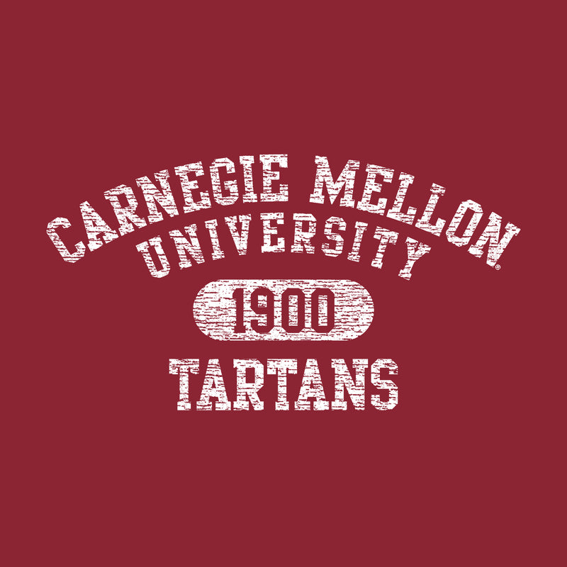 Carnegie Mellon University Tartans Athletic Arch Hoodie - Cardinal