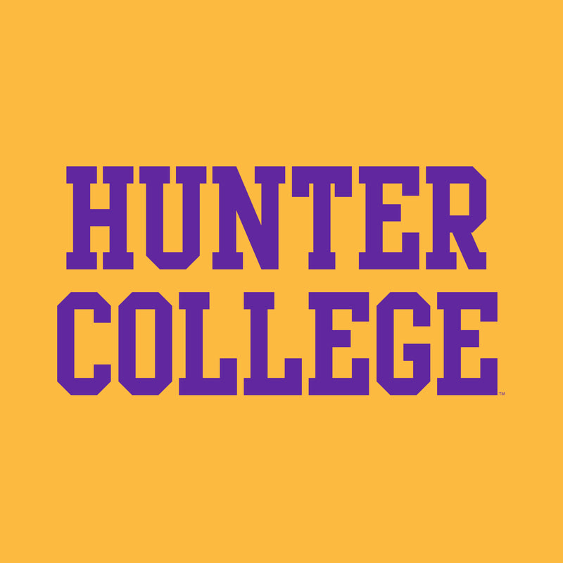 Hunter College Hawks Basic Block T Shirt - Gold