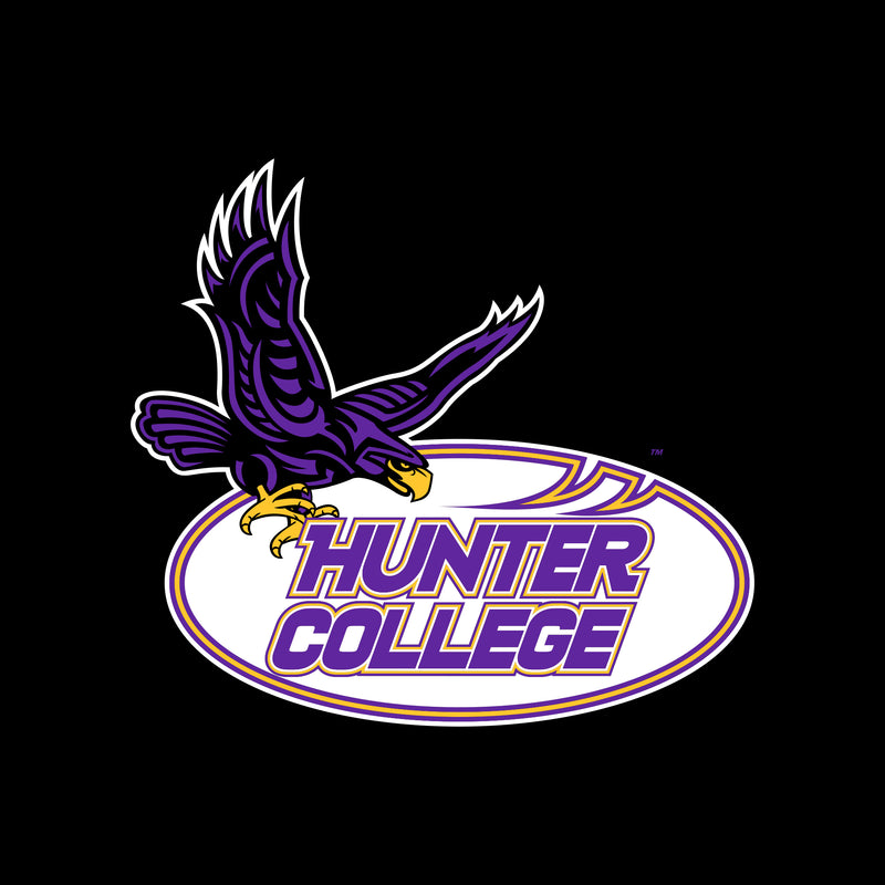 Hunter College Hawks Primary Logo Hoodie - Black