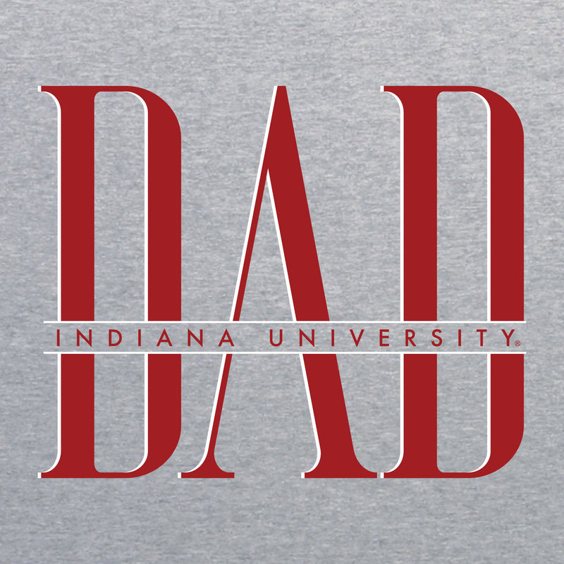 Indiana Classic Dad Crewneck - Sport Grey