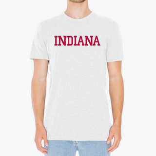 Indiana Basic Block NLA Triblend T-Shirt - Heather White