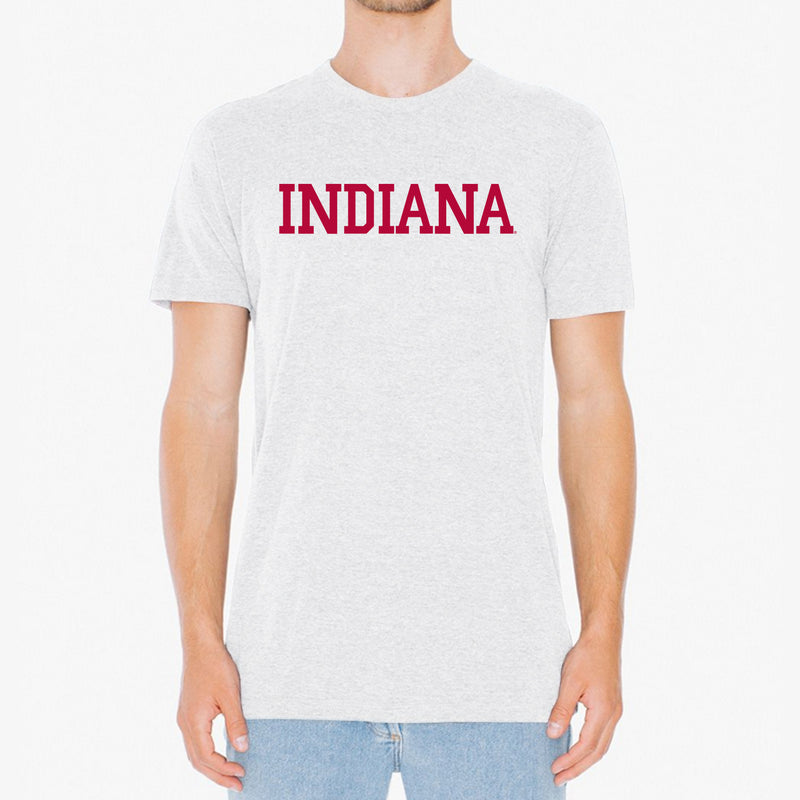 Indiana Univesity Hoosiers Next Level Basic Block Short Sleeve T-Shirt - Heather White