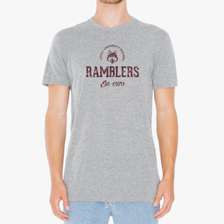 Loyola University Chicago Ramblers Established Arch Short Sleeve T Shirt - Sport Grey