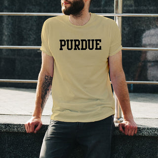 Purdue Boilermakers Basic Block T Shirt - Vegas Gold