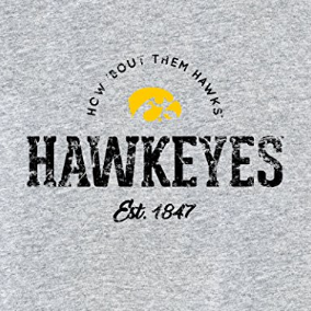 University of Iowa Hawkeyes Established Arch Short Sleeves T Shirt - Sport Grey
