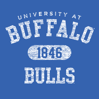 University at Buffalo Bulls Athletic Arch Heavy Blend Hoodie - Royal