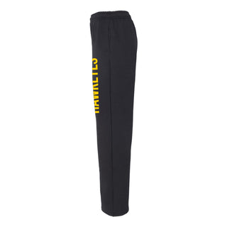 Iowa Hawkeyes Super Block Sweatpants - Black