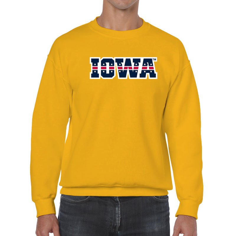 University of Iowa Hawkeyes Patriotic Wordmark, Team Color Crewneck