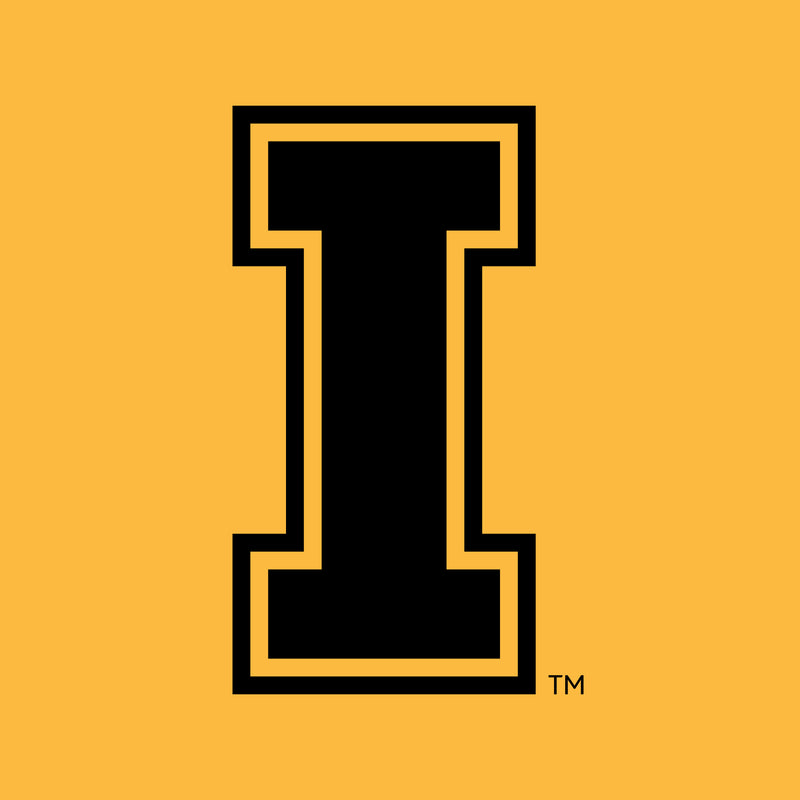 Idaho Vandals Primary Logo T Shirt - Gold