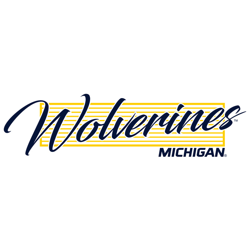 University of Michigan Wolverines Screen Play Heavy Blend Hoodie - White
