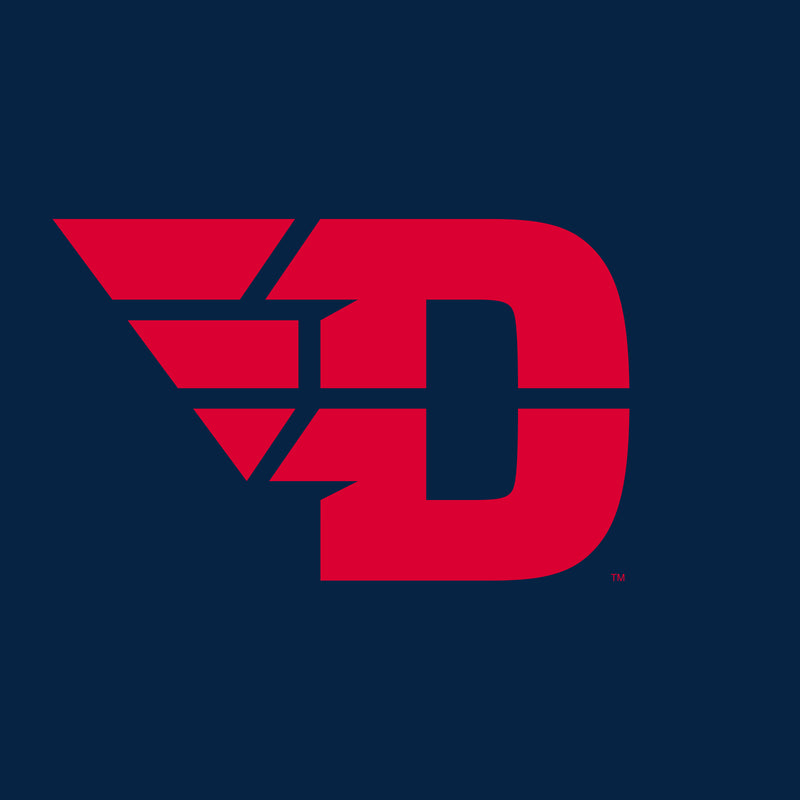 University of Dayton Flyers Primary Logo Heavy Blend Hoodie - Navy
