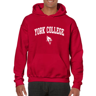 York College Cardinals Arch Logo Heavy Blend Hoodie - Red